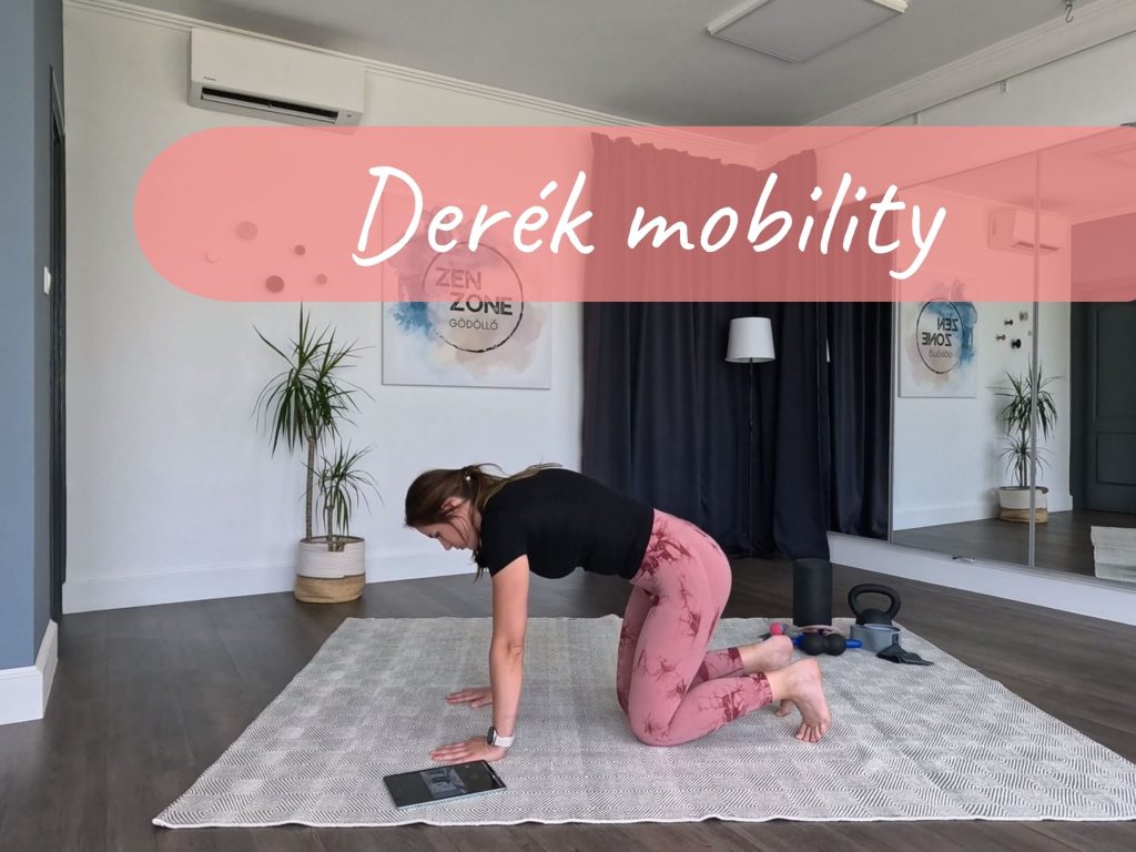 OR_derek_mobility_2