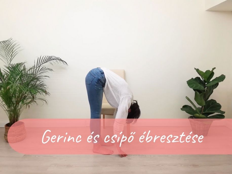 gerinc es csipo ebresztese