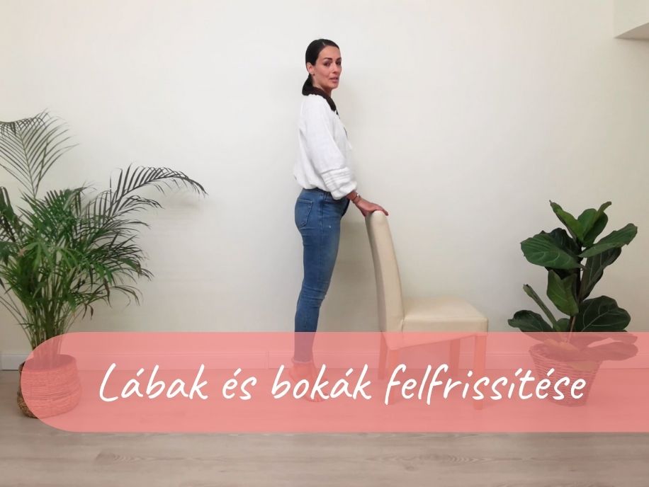 labak_es_bokak_felfrissitese