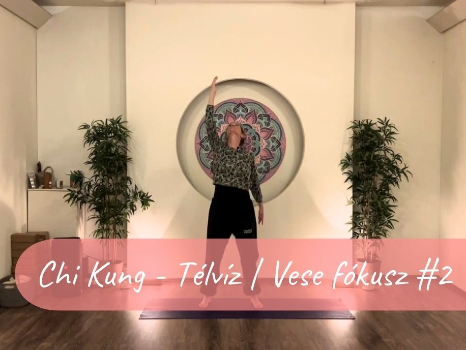 chikung_telviz_vese_fokusz_2